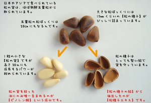 オメガ７モンゴル産シーベリー、モンゴル産松の実、五葉松の種子エキスSPN、サラサラ酵素、エミューオイルの日本三晶製薬［愛知県名古屋市］