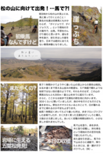 天然モンゴル産松の実,mongolianpinenuts,白鵬,旭鷲山