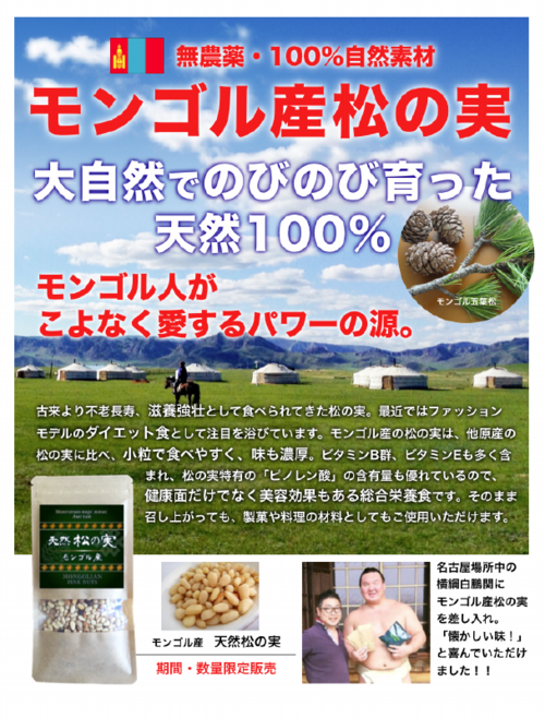 天然モンゴル産松の実,mongolianpinenuts,白鵬,旭鷲山