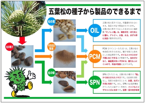 オメガ７モンゴル産シーベリー、モンゴル産松の実、五葉松の種子エキスSPN、サラサラ酵素、エミューオイルの日本三晶製薬［愛知県名古屋市］