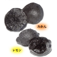 sumi-photo1.jpg