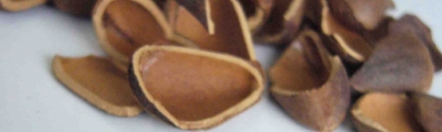 spnnuts03.jpg