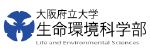 osakafuritu.png
